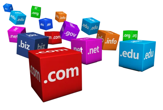 На що звернути увагу при виборі домену?